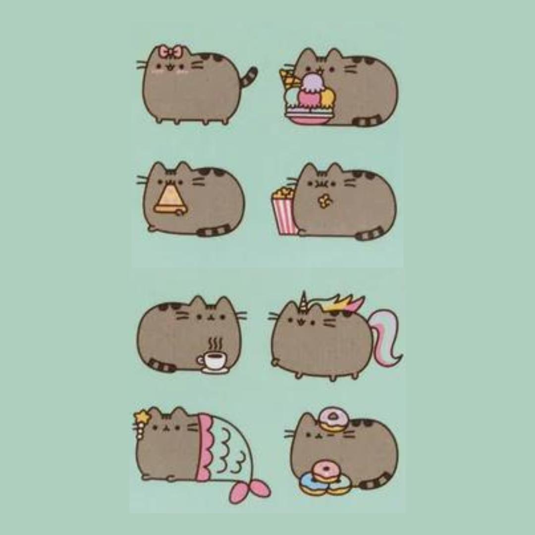 pusheen-mystery-patch-kawaii-shop-cute