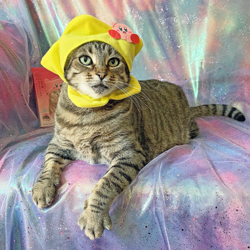Mochi in a Kirby star cat cap 